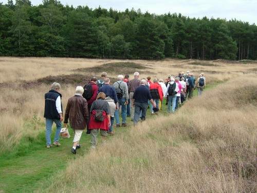 Wandergruppe auf dem Pestruper Gräberfeld